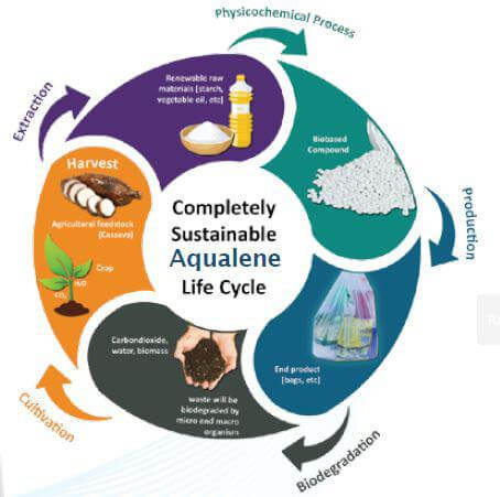 Aqualene Life Cycle